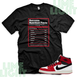 Air Jordan 1 KO Chicago "Success Facts" Nike AJ1 Chicago Sneaker Match Shirt Tee