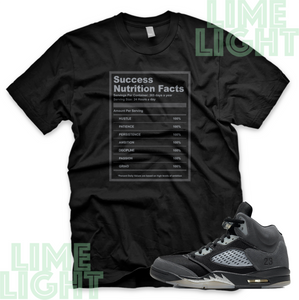 Jordan 5 Anthracite "Success Facts" Nike Air Jordan 5 Sneaker Match Shirt Tee