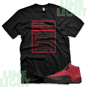 Jordan 12 Reverse Flu Game "Success Facts" Air Jordan 12 Sneaker Match Shirt
