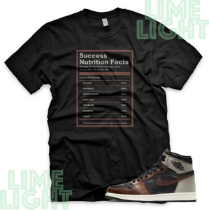 Air Jordan 1 Rust Shadow "Success Fact" Nike AJ1 Jordans Sneaker Match Shirt Tee
