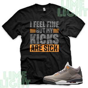 Nike Air Jordan 3 Cool Grey "Sick Kicks" Jordan 3 Sneaker Match Shirts Tees