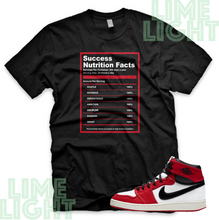 Load image into Gallery viewer, Air Jordan 1 KO Chicago &quot;Success Facts&quot; Nike AJ1 Chicago Sneaker Match Shirt Tee
