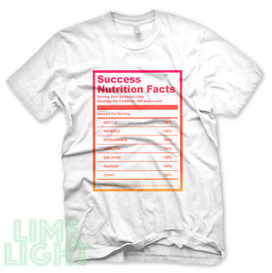 Hot Punch 12's "SUCCESS NUTRITION FACTS" Airmax 270 React Sneaker Shirt